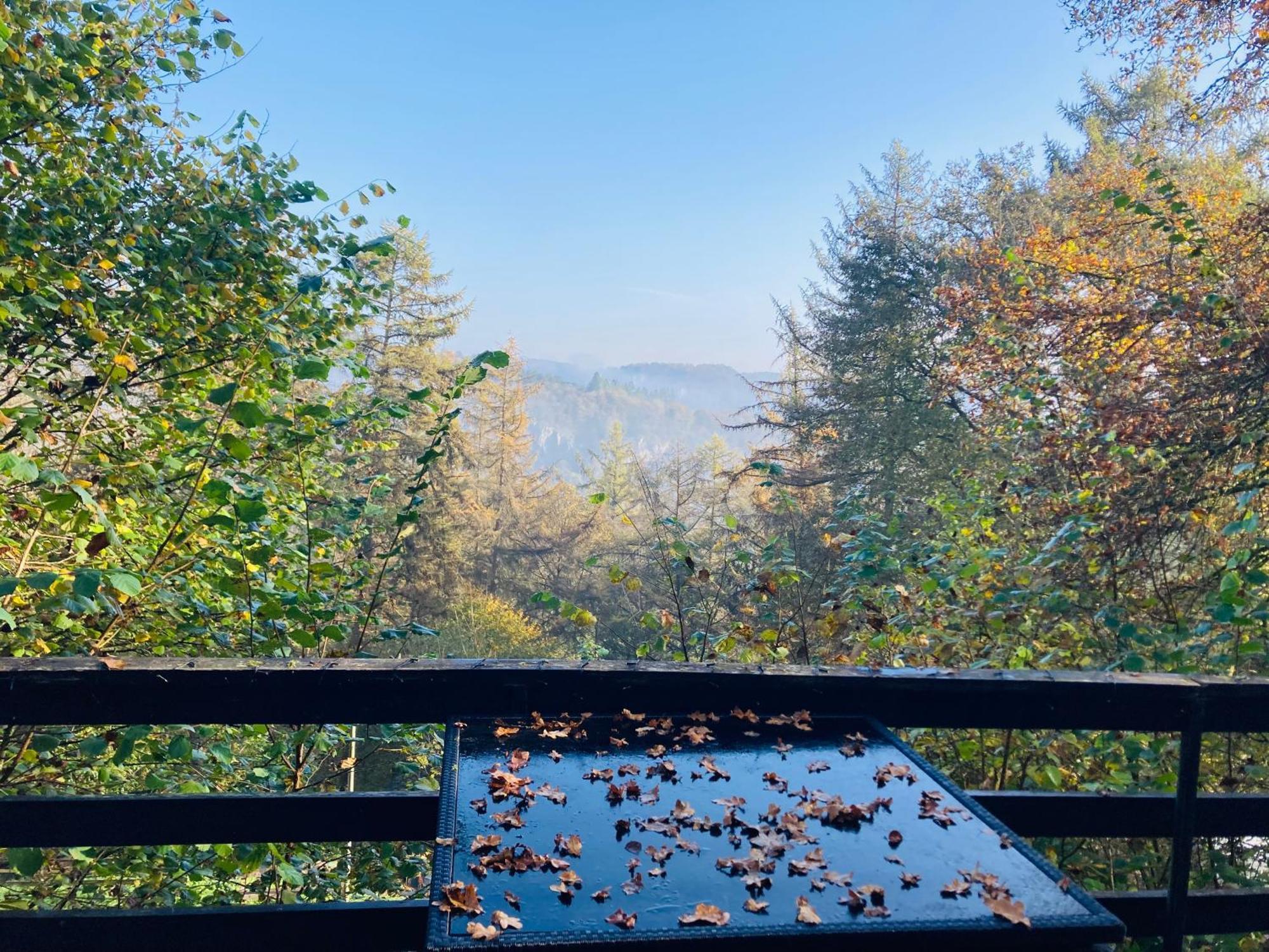 Woody Lodge - Duplex Nature Bonsoy Ardennes Hastiere-par-dela المظهر الخارجي الصورة